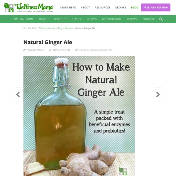 How to Make Natural Ginger Ale - Easy Recipe
