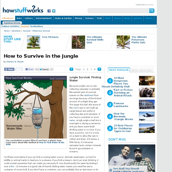 Jungle Survival: Finding Water"