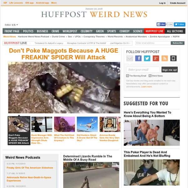 Weird News News and Opinion on The Huffington Post