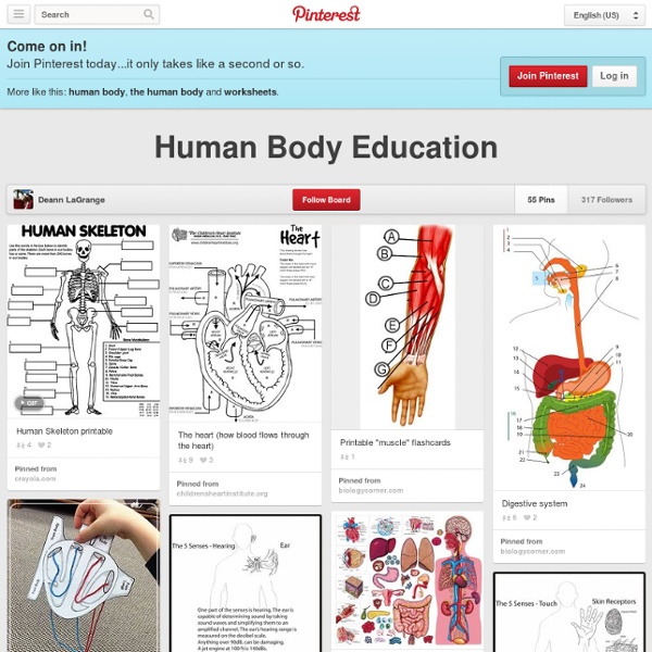 Human Body Education