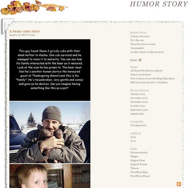HUMOR STORY : A beary cute story
