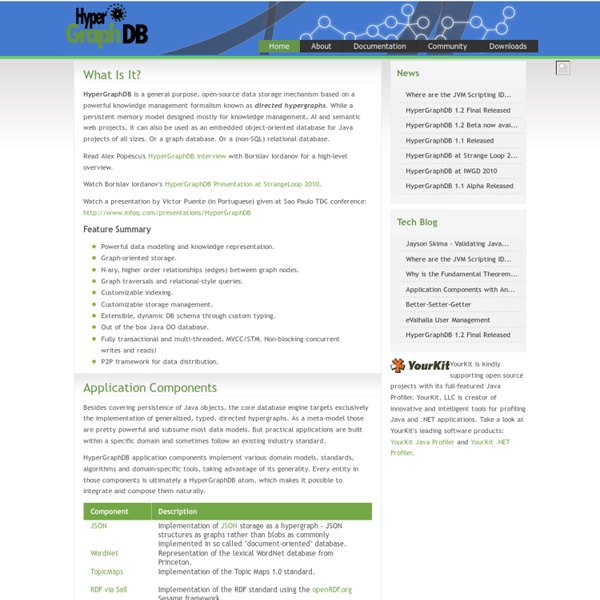 HypergraphDB - A Graph Database