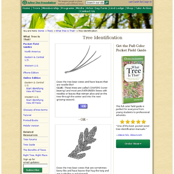 Tree Identification Guide at arborday