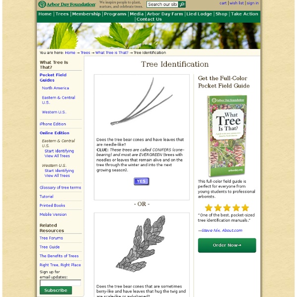 Tree Identification Guide at arborday Pearltrees