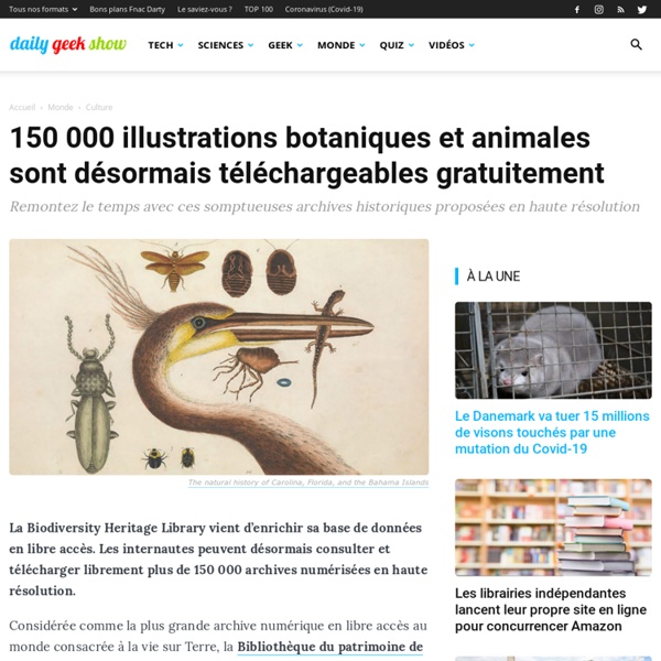 150 000 illustrations botaniques et animales sont désormais téléchargeables gratuitement