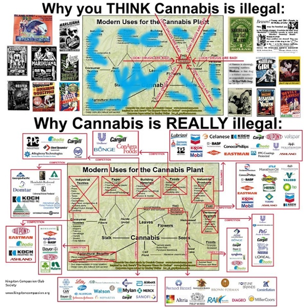 Cannabisandcapitalism.jpg (imagen JPEG, 960 × 960 píxeles)