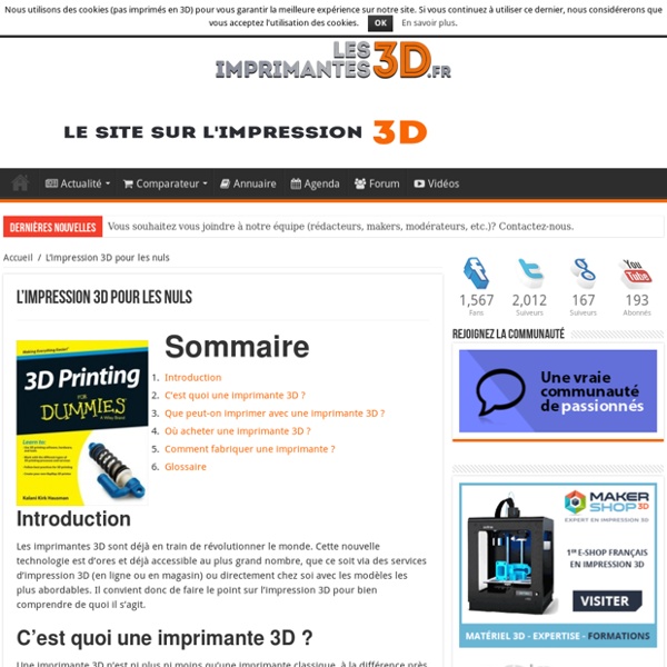 Imprimante 3D et impression 3D pour les nuls