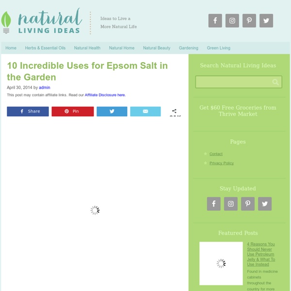 10 Incredible Uses for Epsom Salt in the Garden