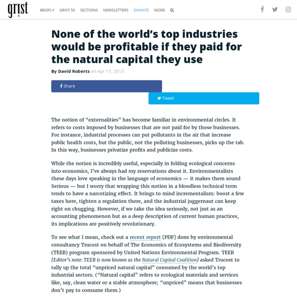 None of the world’s top industries would be profitable if they paid for the natural capital they use