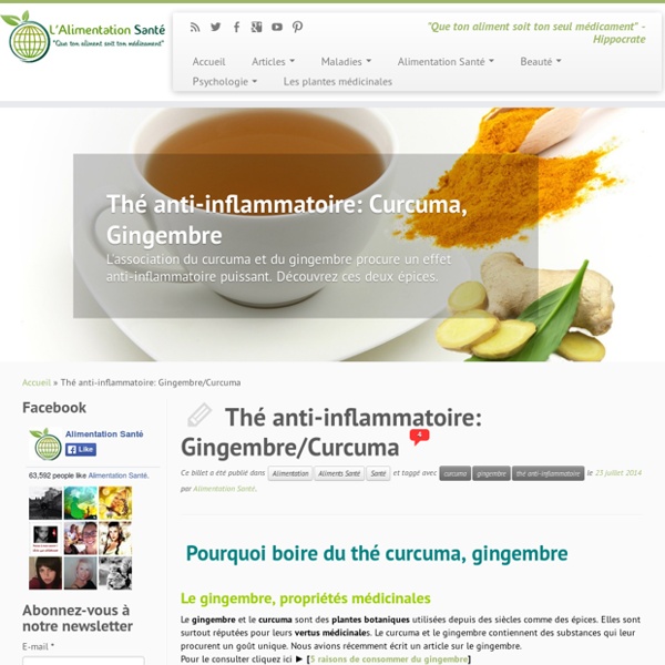 Thé anti-inflammatoire: Gingembre/Curcuma - L'Alimentation Santé