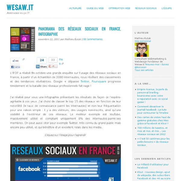 Panorama des réseaux sociaux en France, Infographie