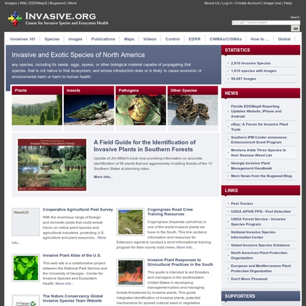 Invasive Species: Information, Images, Videos, Distribution Maps