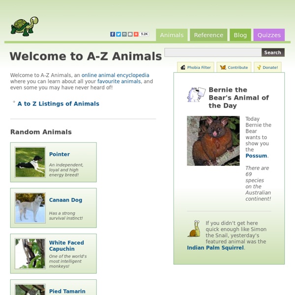 A-Z Animals - Animal Facts, Information, Pictures, Videos, Resources and Links