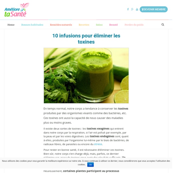 10 infusions pour éliminer les toxines