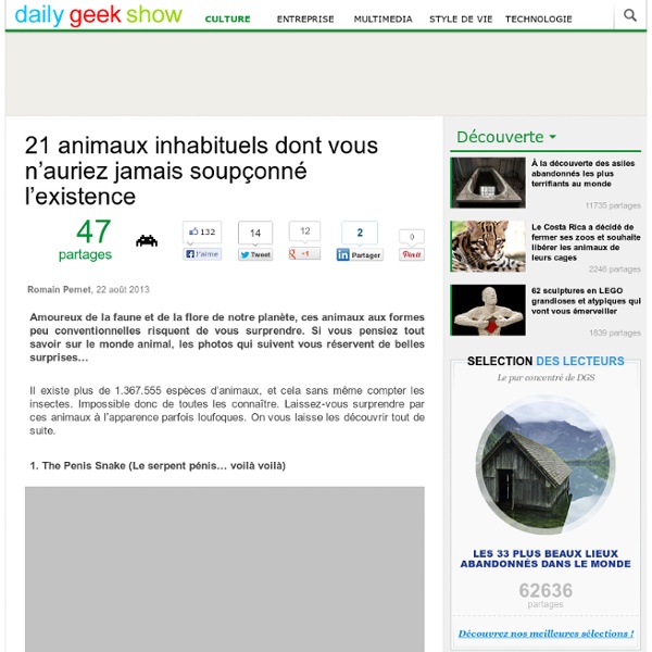 21 animaux inhabituels dont vous n’auriez jamais soupçonné l’existence