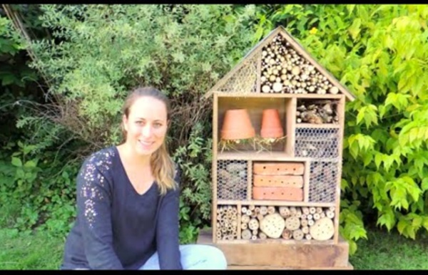 Building insect hotel