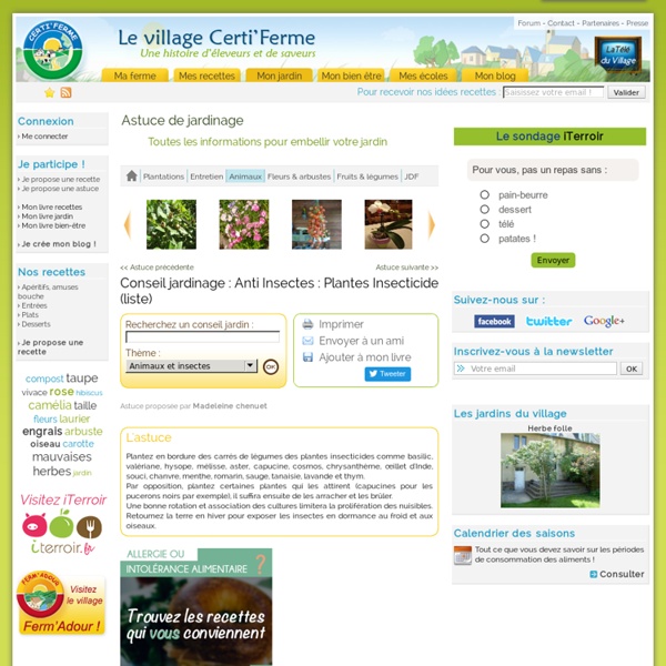 Anti Insectes : Plantes Insecticides (liste) - Toutes les informations sur les insectes et animaux avec les conseils dentretien du jardin et astuces de jardinage du Village Certi'Ferme