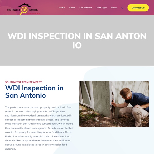 WDI Inspection in San Antonio