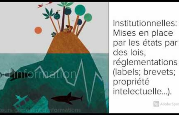 VIDEO : L'intégration de l'entreprise dans son environnement