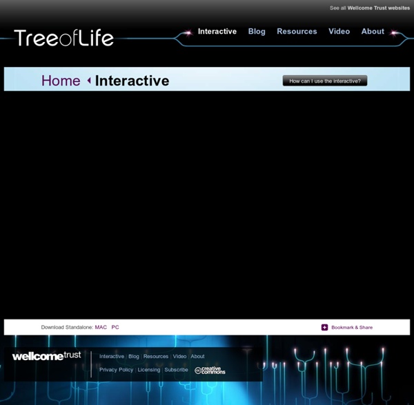 Tree of Life interactive