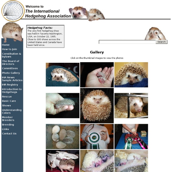 The International Hedgehog Association