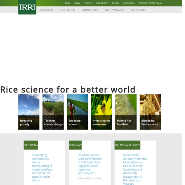 IRRI - Rice science for a better world.