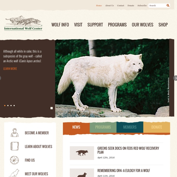 International Wolf Center