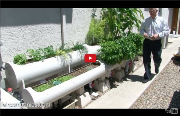 Internet of Farming: Arduino-based, backyard aquaponics