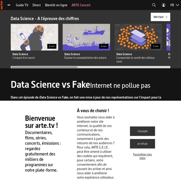 Data Science vs Fake - Internet ne pollue pas