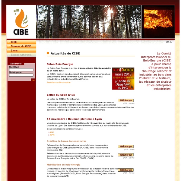 CIBE : Comité Interprofessionnel du Bois Energie