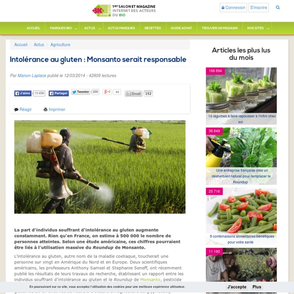 Intolérance au gluten : Monsanto serait responsable