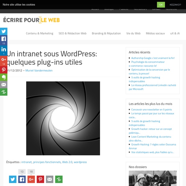 Un intranet sous Wordpress: quelques plug-ins utiles
