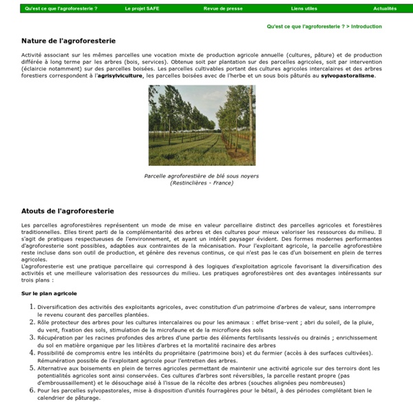 Introduction à l'Agroforesterie