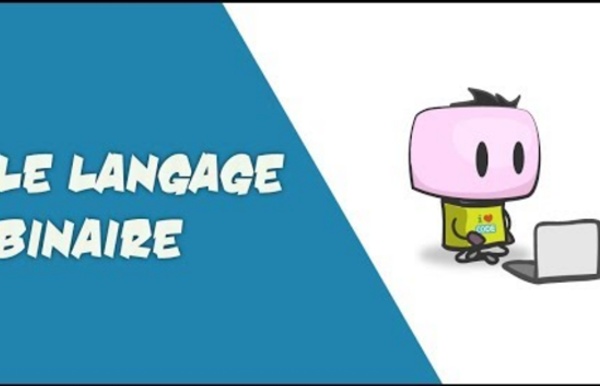 (259) INTRODUCTION AU LANGAGE BINAIRE