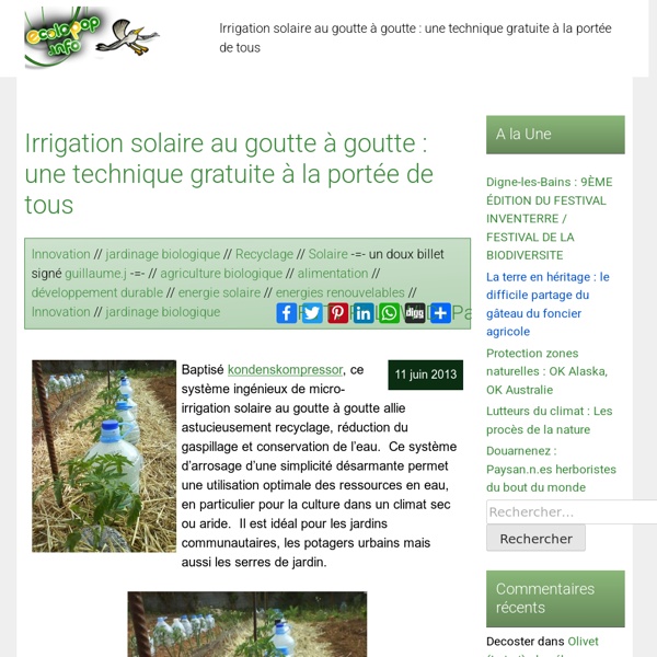 Irrigation solaire au goutte à goutte : une technique gratuite à la portée de tous - ecoloPop