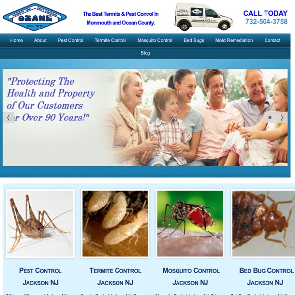 Jackson NJ Pest Control Termite Control Ozane.com