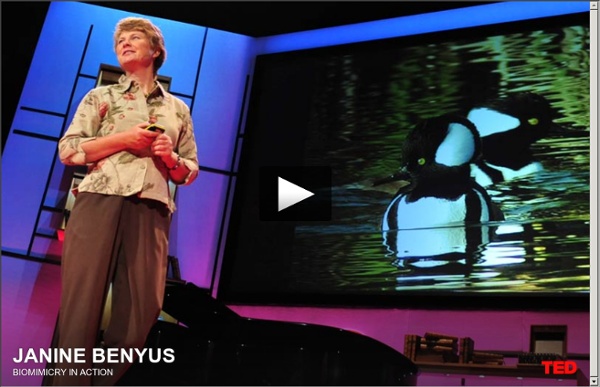 Janine Benyus: Biomimicry in action