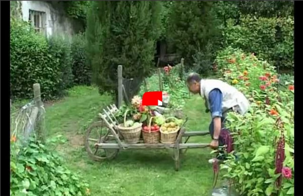 Jardinage sans travail du sol