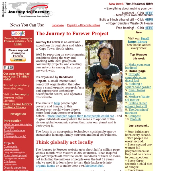 Journey to Forever