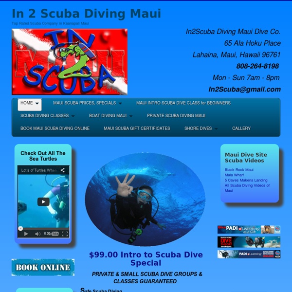 Scuba Diving Maui Kaanapali Lahaina Black Rock Sheraton