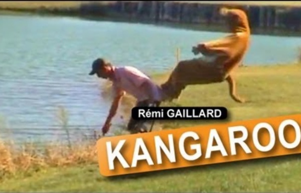 Kangaroo (Rémi GAILLARD