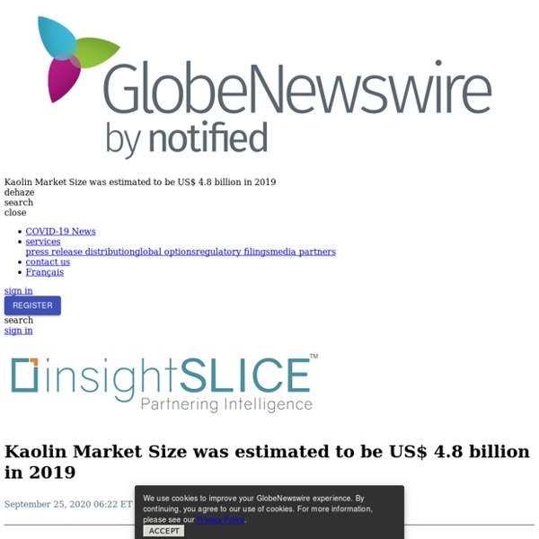 Kaolin Market Size was estimated to be US$ 4.8 billion in