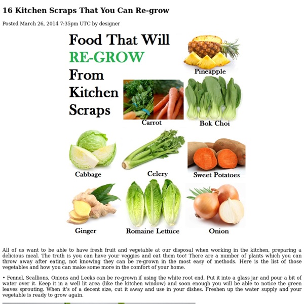 16 Kitchen Scraps That You Can Re-grow