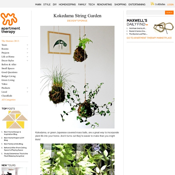 Kokedama String Garden Design*Sponge