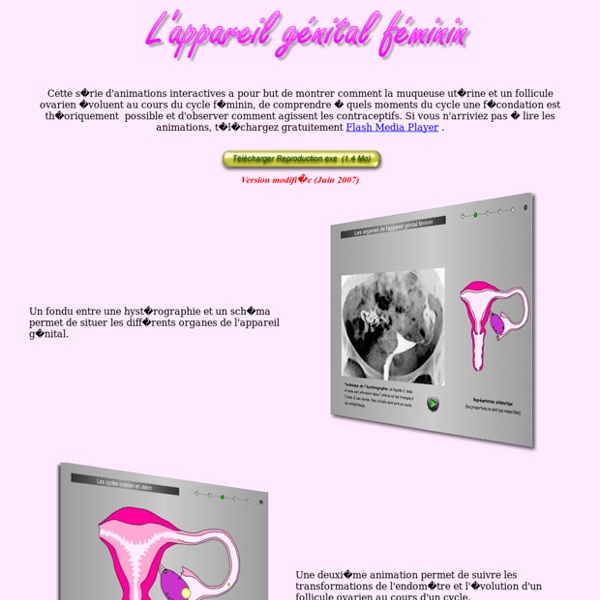 L'appareil genital feminin