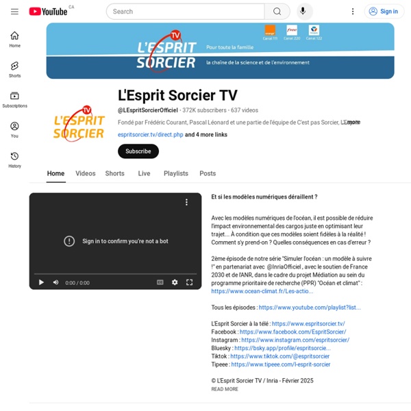 L'Esprit Sorcier Officiel