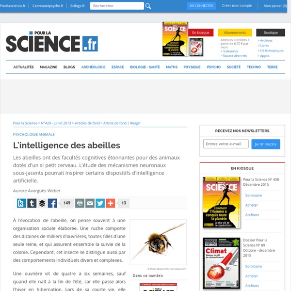 L'intelligence des abeilles Pour la science 429 07/2013 (à demander au CDI)