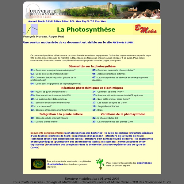 La photosynthese
