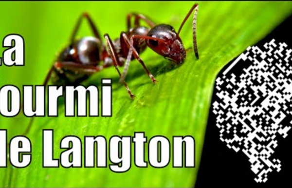 La fourmi de Langton — Science étonnante #21