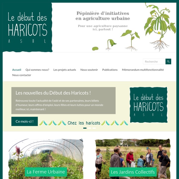 Le début des haricots